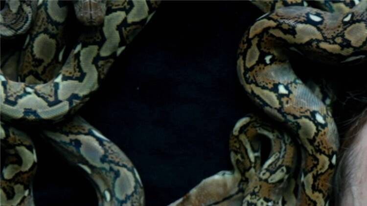 The 19 biggest and best exhibitions worth travelling for in 2026